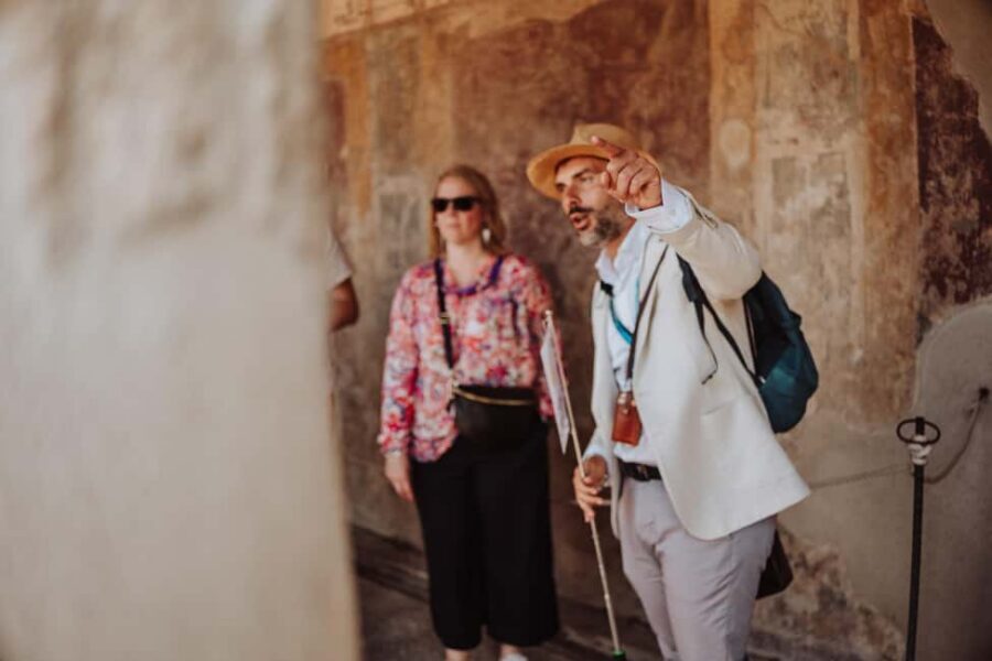 Pompeii and Oplontis: Small Group Tour with an Archaeologist - Price and value: is $105 fair for Pompeii + Oplontis?
