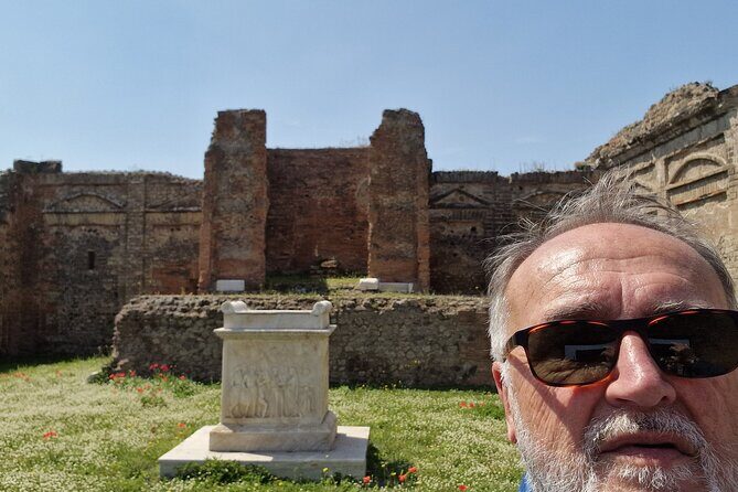 Pompeii and Sorrento Private Day Tour from Rome - Transfers and included extras: what you get without thinking