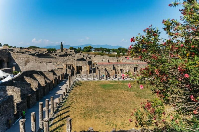 Pompeii: Archaeological Park Tour with Ticket on request - Key Points If You Want the Best of Pompeii