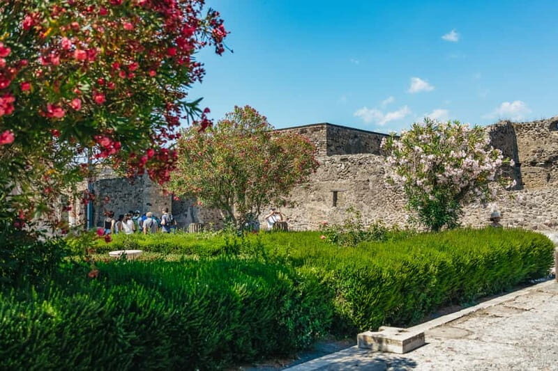 Pompeii: Archaeological Park Tour with Ticket on request - Skip-the-Line EXPRESS: Ticket Option and What It Means for Your Time