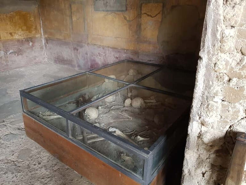 Pompeii: Entry Ticket w/ Guide and Transfers or Audio Guide - Why Pompeii Feels Real in a 2–12 Hour Visit