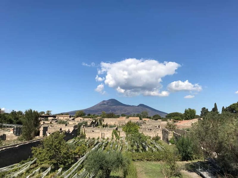 Pompeii: Exclusive Tour with Archaeologist and Entry Tickets - Key reasons this Pompeii tour works
