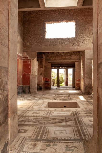Pompeii Guided Experience - Tour Service Only - A licensed English guide turns Pompeii from ruins into a story