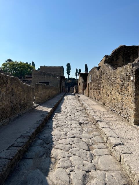 Pompeii Guided Experience - Tour Service Only - Meeting point at Hortus Restaurant: find the green sign fast