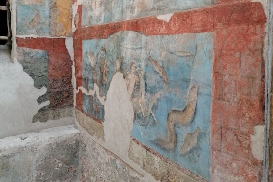 Pompeii: Guided Tour with Archaeologist with max. 12 People - Macellum and the basilica: food, trade, and law