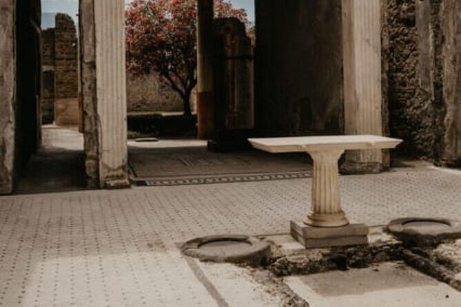 Pompeii Guided Tour with Train Included from Rome - Rome Start at Roma Termini: Train Included From the First Step