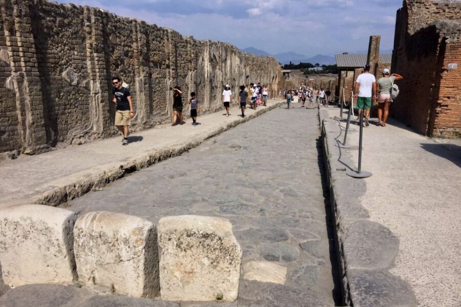 Pompeii: Guided Walking Tour with Entrance Ticket - Pompeii on a Timer: What Makes This Tour Feel Worth It