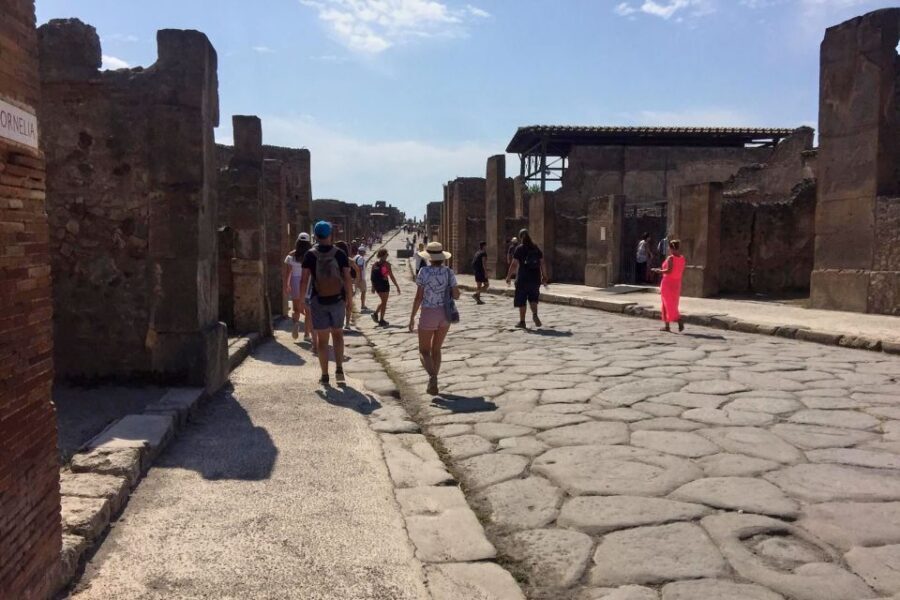 Pompeii: Guided Walking Tour with Entrance Ticket - The 2-Hour Route That Hits the Big Themes