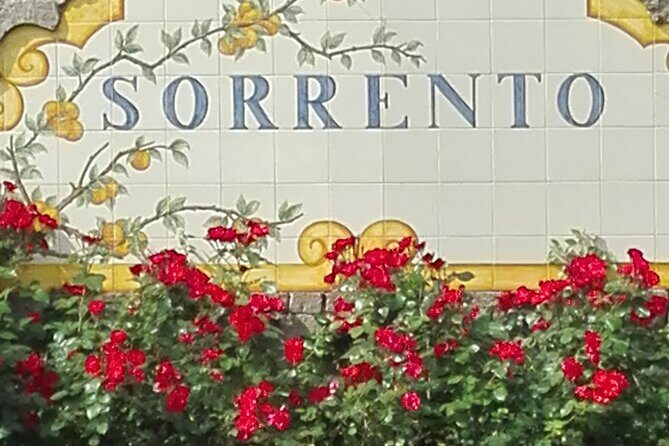 Pompeii Half-Day Tour from Sorrento - Key highlights to know before you go
