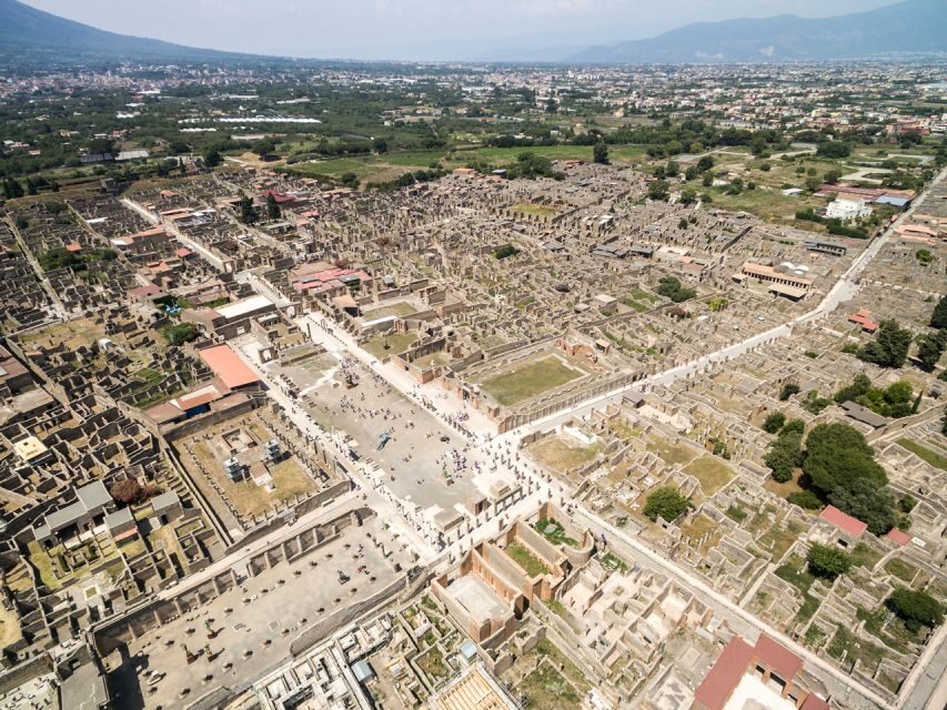 Pompeii, Herculaneum, and Vesuvius: Full-Day Tour - Timing and walking: what 8 hours really feels like