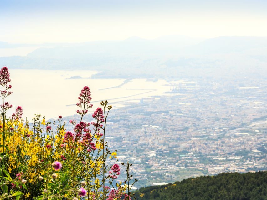 Pompeii, Herculaneum, and Vesuvius: Full-Day Tour - Language and on-the-ground support