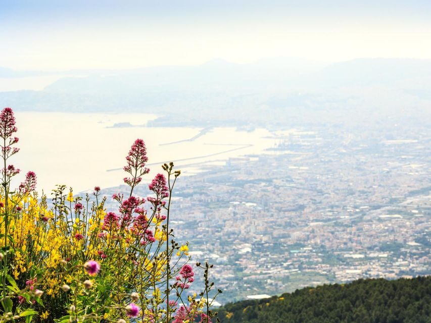 Pompeii, Herculaneum and Vesuvius Tour - Mount Vesuvius: 1.5 hours of volcano views and crater time