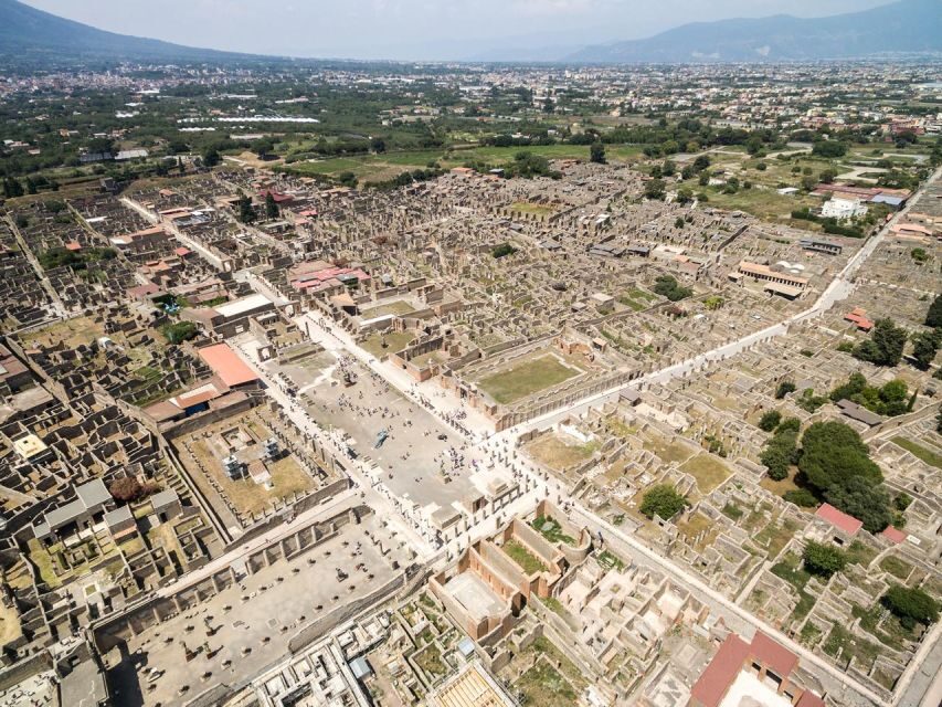 Pompeii, Herculaneum and Vesuvius Tour - Tickets, audio languages, and the ID rule for Pompeii