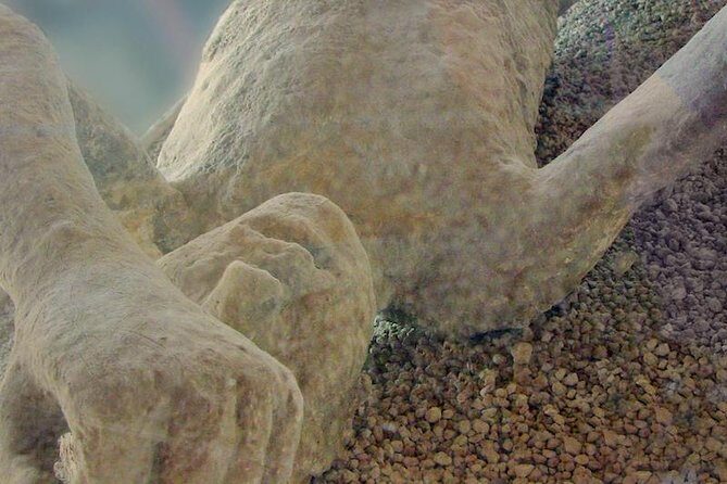 Pompeii & Herculaneum - Skip the line from Sorrento - Skip-the-line entry: what you gain (and what you still need to manage)