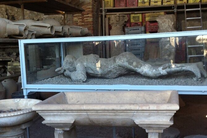 Pompeii, Herculaneum & Wine Tour, with Licensed Guide included - Key highlights worth your attention