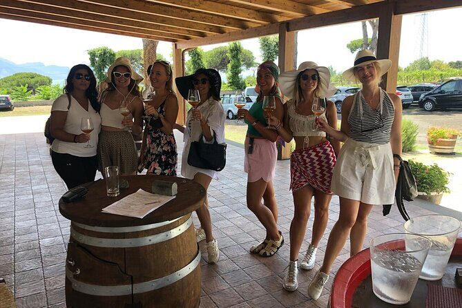 Pompeii, Herculaneum & Wine Tour, with Licensed Guide included - Timing, stamina, and making it feel like a good day