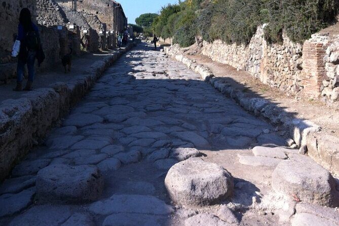 Pompeii, Herculaneum & Wine Tour, with Licensed Guide included - Who this tour fits best (and who should look elsewhere)