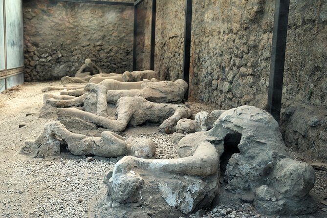 Pompeii, Mt. Vesuvius, Herculaneum Private Tour - Pompeii in 2 hours: what to prioritize and how to not miss the point