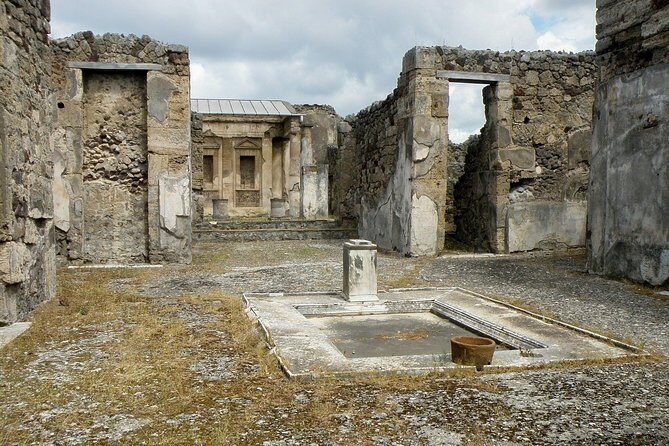 Pompeii Private Day Tour and Winery Stop - Bosco de Medici Winery Stop: Wine and Typical Dishes Near the Ruins