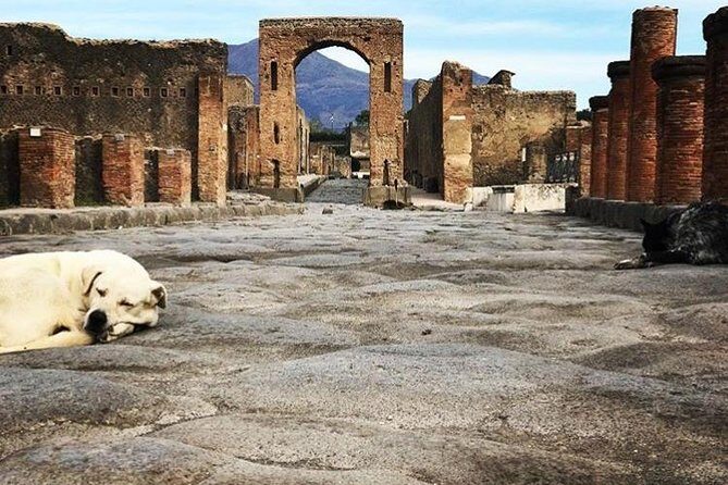 Pompeii Private Tour with Expert Guide - Priority admission (and the ticket detail that matters)