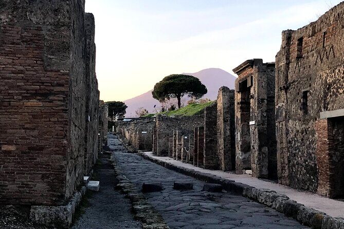 Pompeii Private Tour with expert local guide - Meeting at Hortus Pompei and starting at Porta Marina