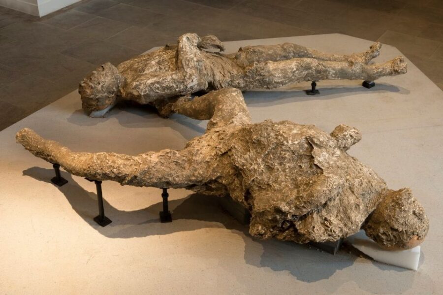 Pompeii: Private Tour with Hotel Pickup and Entry Ticket - Which Languages You Can Expect