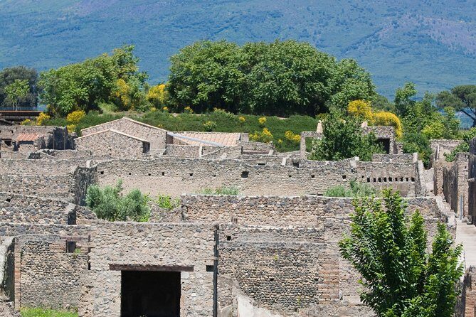 Pompeii Ruins Half-Day Tour from Sorrento with Guide - Best Season and Simple Tips That Make a Difference