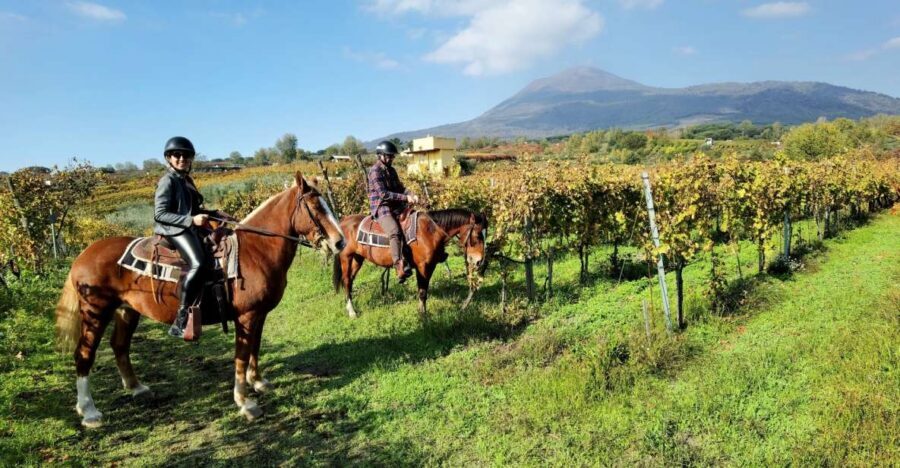 Pompeii: Ruins Tour and Mount Vesuvius Horseback Ride - Key highlights at a glance