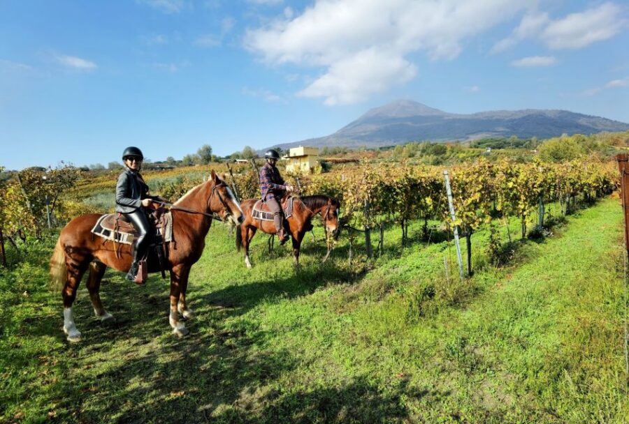 Pompeii: Ruins Tour and Mount Vesuvius Horseback Ride - Mount Vesuvius horseback ride through the vineyards: what it feels like
