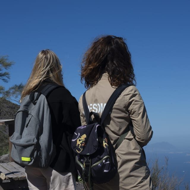 Pompeii Ruins & Vesuvius Full-Day Tour from Pompeii - Key Highlights You’ll Feel Immediately