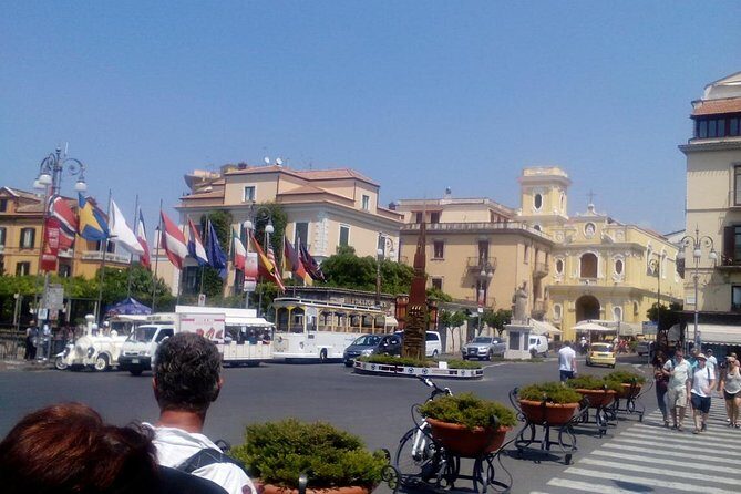 Pompeii Skip-The-Line and Sorrento FullDay from Rome - Who does the heavy lifting: your private driver and the calm factor