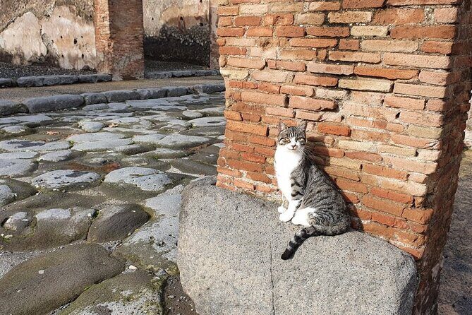 Pompeii the Ancient City (Tour+Transfer) - What You’ll Like Most: Guide Style and an Efficient Route