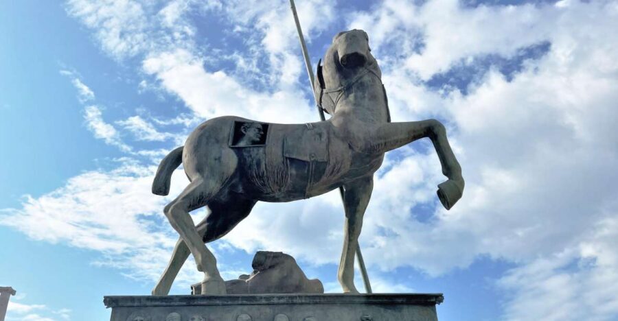 Pompeii-Vesuvius & Winery All Inclusive Tour From Positano - Should you book this tour?