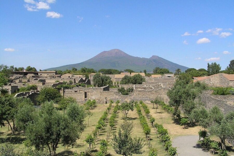 Pompeii with Wine Tasting Private Tour - Lunch on the slopes of Mount Vesuvius plus a local wine tasting