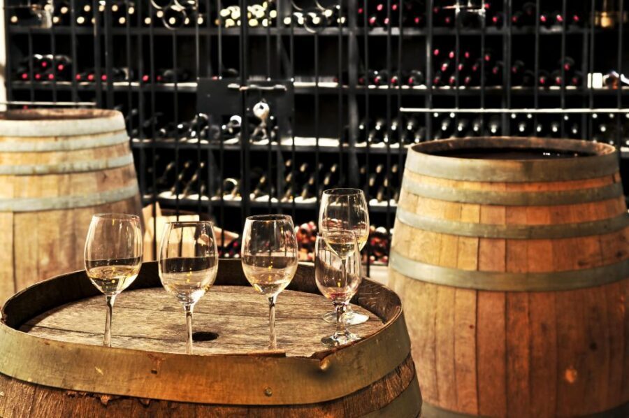 Pompeii with Wine Tasting Private Tour - Best-fit travelers: who this private Pompeii and wine day suits