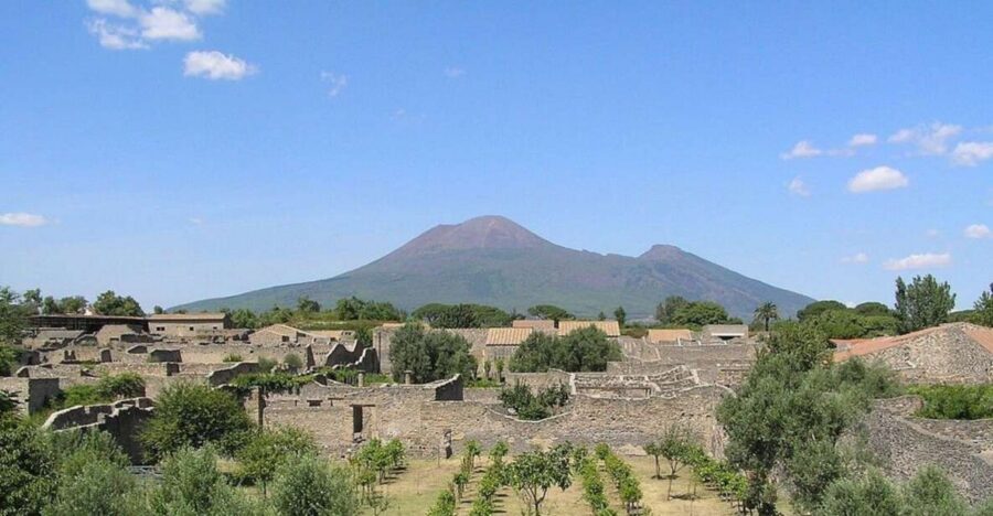 Pompeii with Wine Tasting Private Tour - Skip-the-line Pompeii with a 2.5-hour private guide