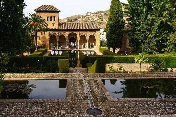Private Alhambra palace tour and Granada from Motril cruise port - The Nasrid Palaces and Courtyards: What Your Guide Brings to Life