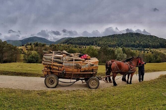 Private Day Tour to Historical Villages in Sinaia - The countryside drive: 10 hours of “good pace,” not nonstop rushing