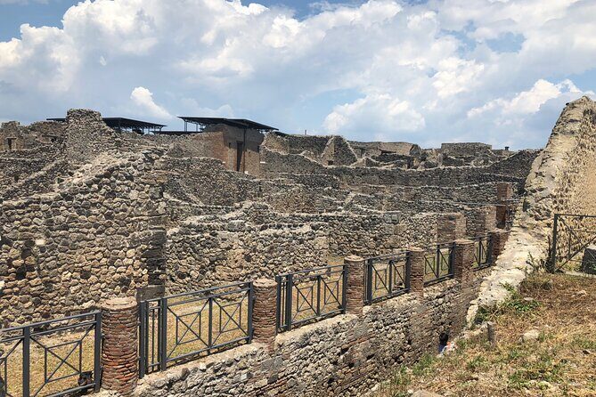 Private Full Day Tour Ruins of Pompei and Wine Tasting Experience - Who this tour is best for (and who might want a different plan)