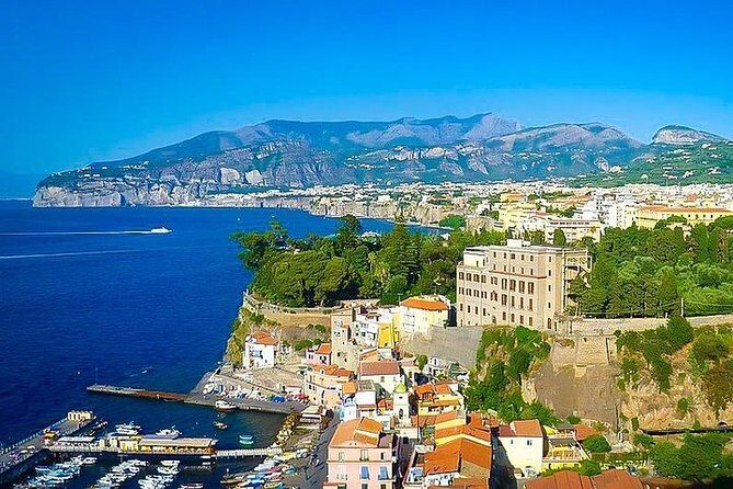 Private Full-Day Tour Sorrento, Positano, and Pompeii - Driver vs guide: what you should expect in the car and at Pompeii