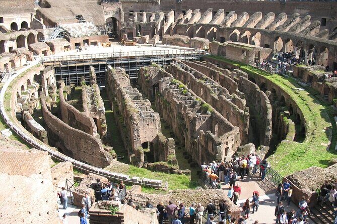 Private Guided Tour Colosseum and Ancient Rome - Palatine Hill climb: views plus story beats at a comfortable pace