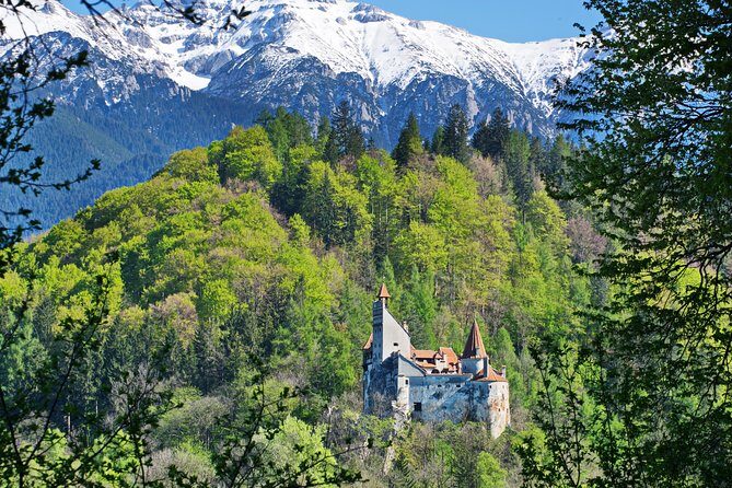 Private Movie Castles at Peles, Cantacuzino and Bran Castle Tour - Key Highlights You’ll Care About