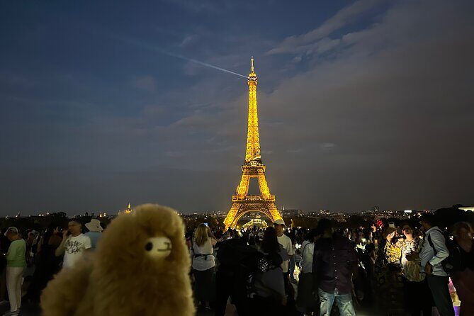 Private Paris City Night Sightseeing Tour - The Left Bank and classic night contrast: Louvre to the bridges