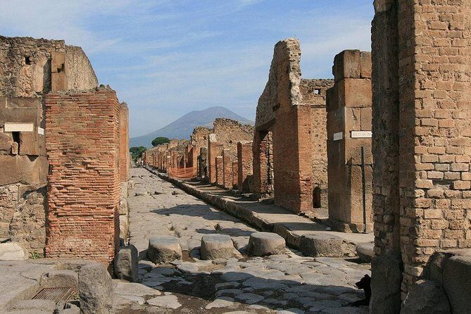 Private Pompeii Day Trip from Rome - A private Pompeii day trip that actually saves you time