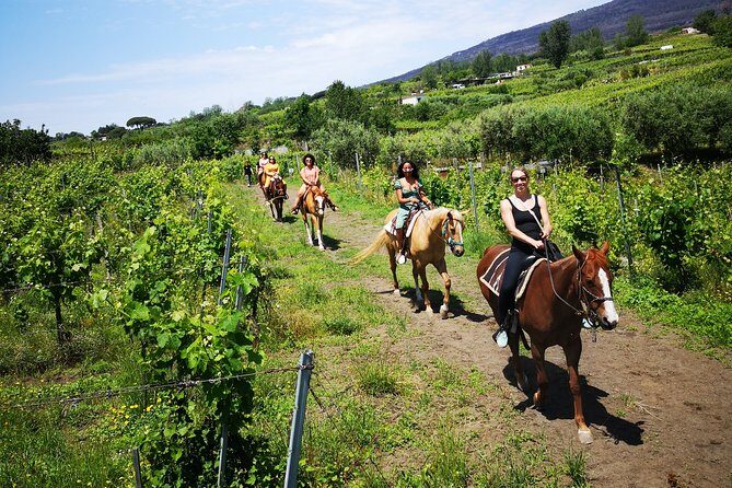 Private Pompeii, Horse Riding & Lunch Tour w/ Pick up included - One hour horseback riding through the vines: peaceful, scenic, and built for comfort