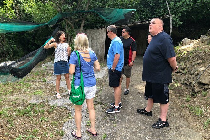 Private Pompeii Tour with lunch and Olive Oil Factory Experience - The day’s flow: how to plan your expectations from 9:00 onward