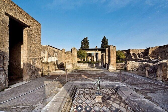 Private Pompeii Tour with lunch and Olive Oil Factory Experience - Frantoio Gargiulo lunch and olive oil tasting on the Bay of Naples terrace
