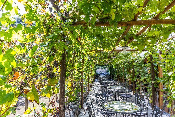 Private Pompeii Tour with Organic Wine Tasting & Lunch - Tickets and the skip-the-line promise: what’s included, what’s not
