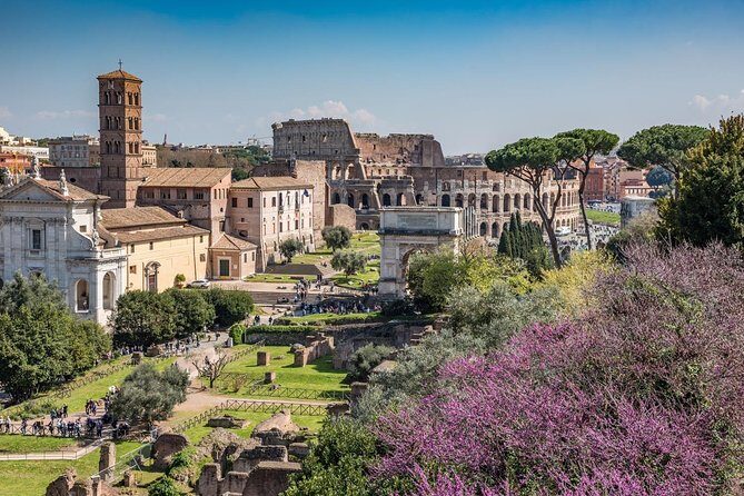Private Rome in a Day Tour with Colosseum & Sistine Chapel: Essential Experience - Starting Point at the Roman Forums: Getting Oriented Fast