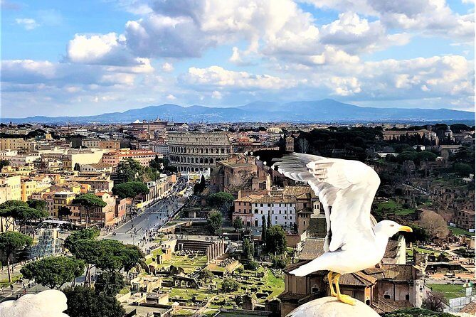 Private Rome WOW Tour in 1 Day: Luxury Car, Guide, Tkts & Lunch! - Pickup, Car, and Ticket Timing That Actually Matter